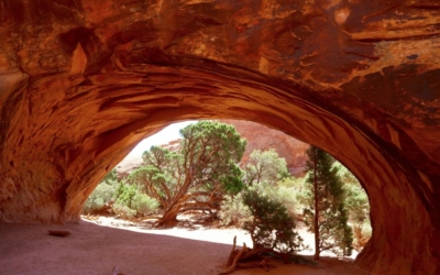 Arches