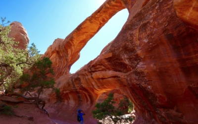 Arches