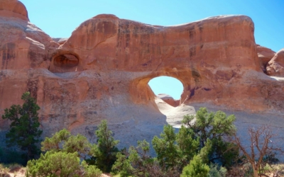 Arches