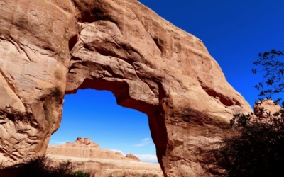Arches