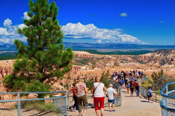 Bryce Point