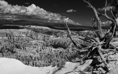 Bryce Point