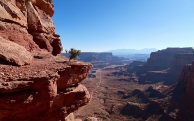 Shafer Canyon