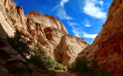 capitol gorge