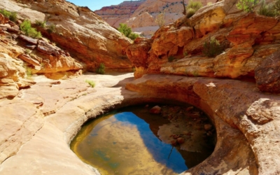 capitol gorge