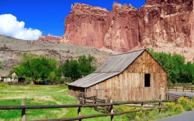 Fruita Capitol reef