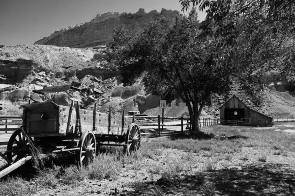 Fruita section