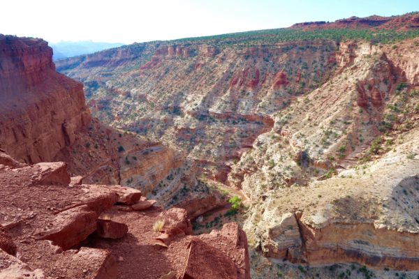 goosenecks overlook