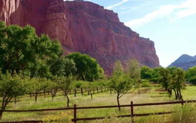 Fruita section