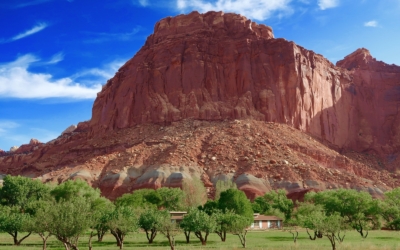 Fruita section