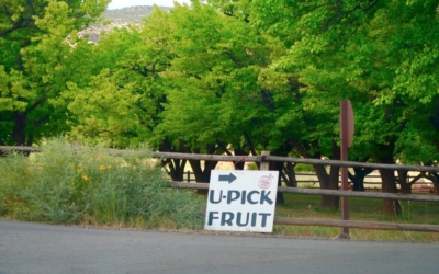 Fruita section