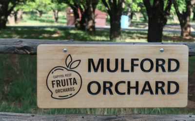 Fruita section