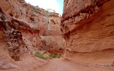 capitol gorge