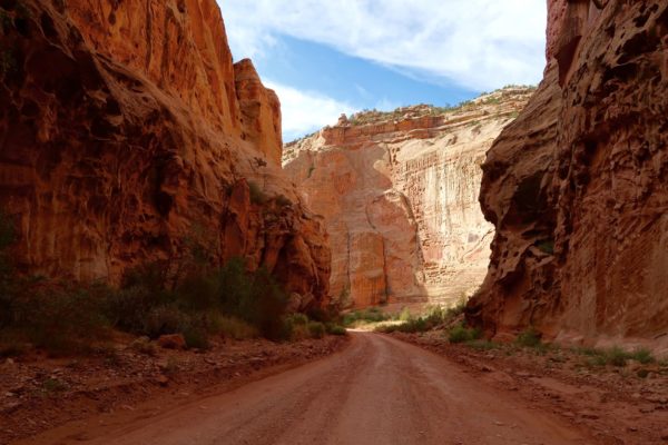 capitol gorge