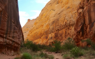 capitol gorge