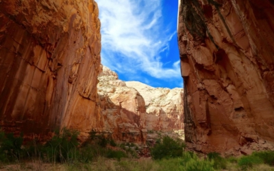 capitol gorge