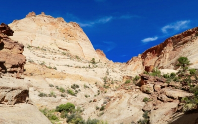 capitol gorge