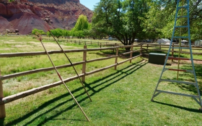Fruita section