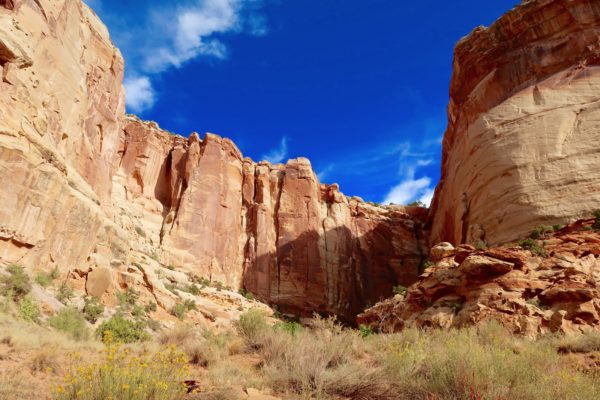 capitol gorge