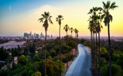 los angeles