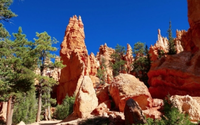 navajo loop bryce canyon