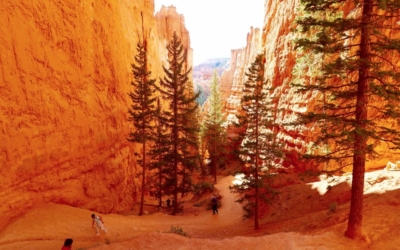 navajo loop bryce canyon
