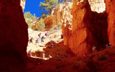 navajo loop bryce canyon