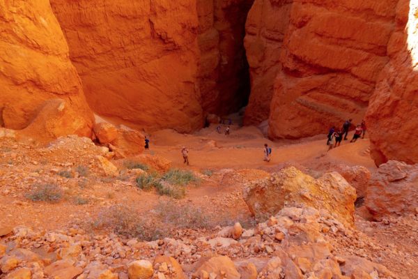 navajo loop bryce canyon