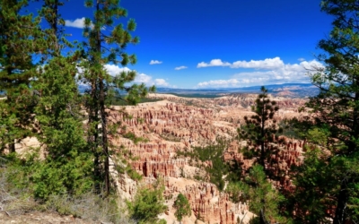 rim trail bryce canyon