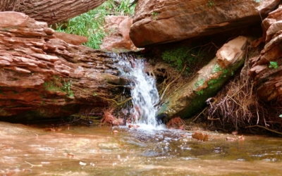 emerald pools