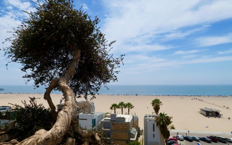 palisades park