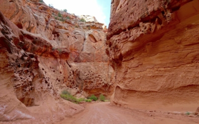 Capitol Gorge