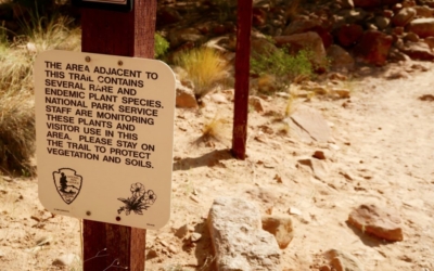 capitol gorge trail
