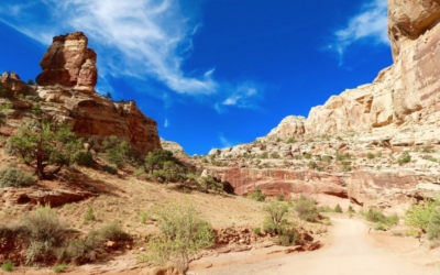 Capitol Gorge