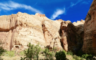 Capitol Gorge Trail