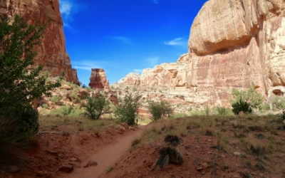 Capitol Gorge Trail