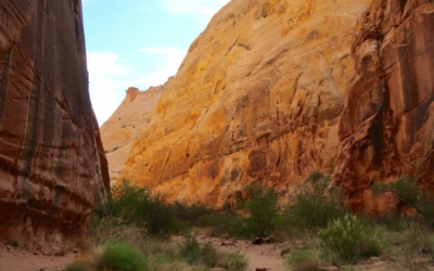 capitol gorge trail