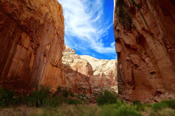 capitol gorge trail