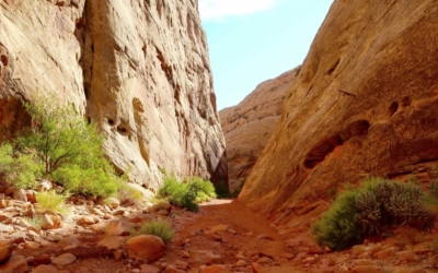 capitol gorge trail