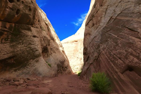 Capitol Gorge Trail 