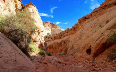 Capitol Gorge Trail