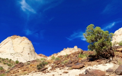 Capitol Gorge Trail