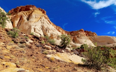 Capitol Gorge Trail