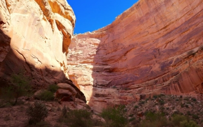 Capitol Gorge Trail