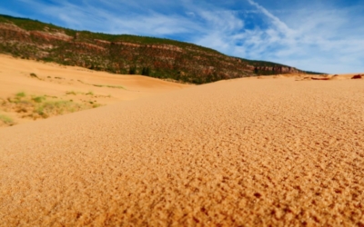 dunes