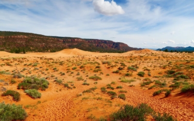 dunes