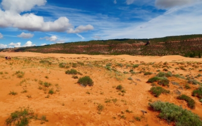 dunes