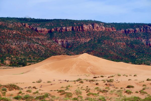 contraste dunes et grès rouge