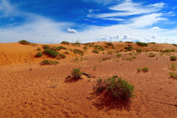 dunes