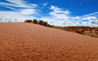 dunes